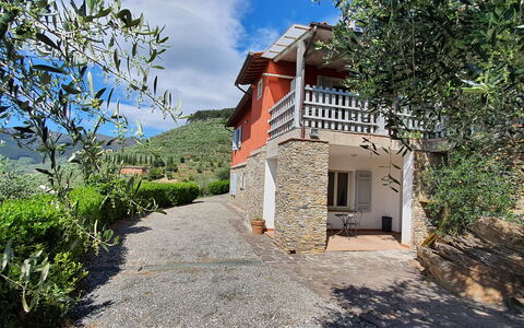 Podere San Martino: Plante, Himmel, Sky, Bygning, Vindue, Træ, Ejendom, Landskab, Sommerhus, Facade