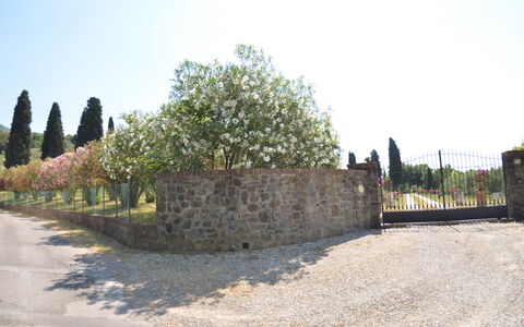 Villa Il Borghetto: Væg, Træ, Land Lot, Fotografering, Stenmur, Historie, Landskab, Historisk Sted, Turisme, Bygning
