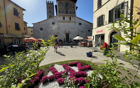 Casina Bella Di Lucca: Bygning, Vindue, Stad, Facade, Blomsterkrukke, Paraply, Udendørs Bord, Udendørs Møbler, Stueplante, Rådhusplads