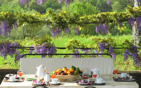 Villa Fabbri: Purple, Lavendel, Have, Lilac, Forår, Træ, Plante, Blomst, Bord, Gårdhave