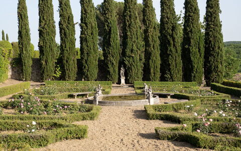 Terrazza e Libreria: Plante, Himmel, Sky, Vegetationen, Træ, Græs, Naturlige Landskab, Hæk, Biome, Evergreen