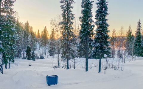 Ruka-Ihtinki 4 a 3: Sne, Vinter, Afdeling, Træ, Naturligt Miljø, Skov, Landskab, Fryser, Frost