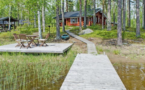 Haapaniemi, Cjoe020: Træ, Sommerhus, Bjælkehytte, Skov, Skur, Garden Bygninger, Lærk, Woodland, Bejdse