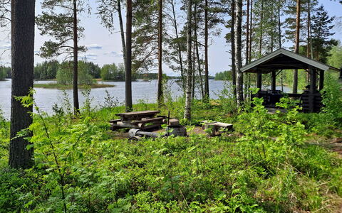 Haapaniemi, Cjoe020: Træ, Sommerhus, Bjælkehytte, Skov, Skur, Garden Bygninger, Lærk, Woodland, Bejdse