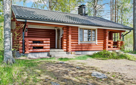 Haapaniemi, Cjoe020: Træ, Sommerhus, Bjælkehytte, Skov, Skur, Garden Bygninger, Lærk, Woodland, Bejdse