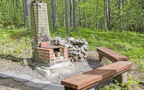 Honkaniemi: Træ, Sommerhus, Bjælkehytte, Skov, Skur, Garden Bygninger, Lærk, Woodland, Bejdse