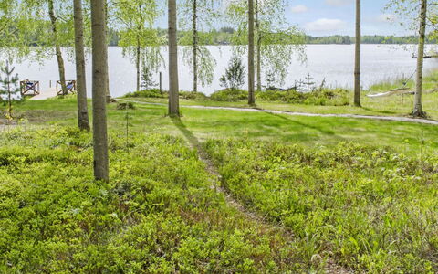 Honkaniemi: Træ, Sommerhus, Bjælkehytte, Skov, Skur, Garden Bygninger, Lærk, Woodland, Bejdse
