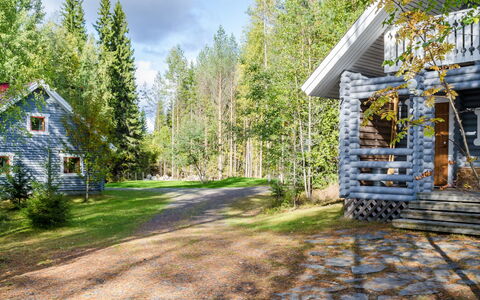 Metsätähti: Møbel, Stol, Udendørs Møbler, Bord, Træ, Udendørs Bord, Køkken & Spisebord, Skygge, Have, Paraply