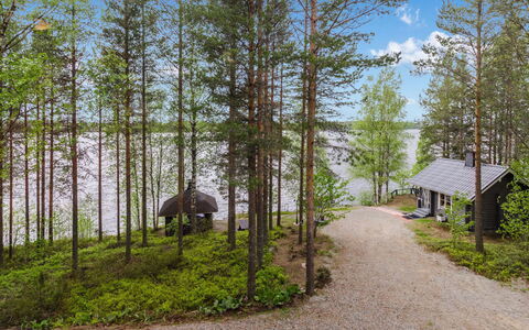 Hatun Huilaus: Træ, Plantesamfund, Woodland, Skov, Bagagerum, Sommerhus, Lund, Lærk