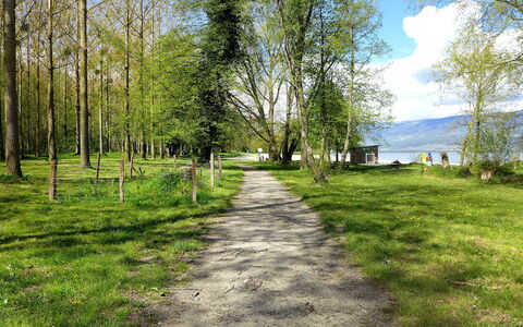 Chemin De La Plage