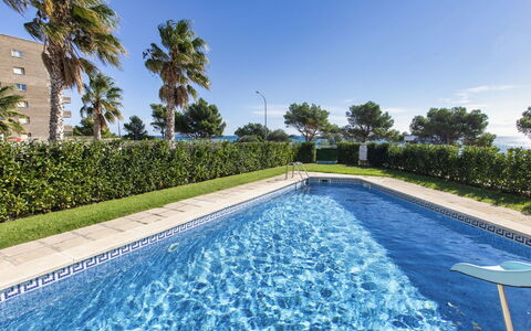 Miami Platja 496: Vand, Plante, Himmel, Daytime, Ejendom, Svømmepøl, Natur, Azure, Træ, Rektangel