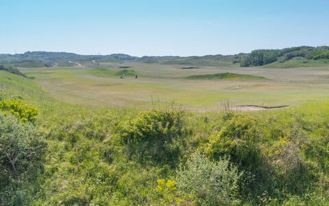 Wanderlust with Garage: Himmel, Plante, Plantesamfund, Naturlige Landskab, Land Lot, Landbrug, Græs, Almindeligt, Græs-, Træ