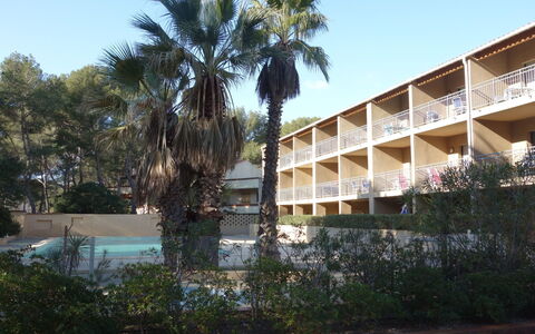 La Marina: Træ, Arkitektur, Palme Træ, Himmel, Arecales, Vedplante, Ejendom, Plante, Bygning, Hus