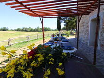 Podere Palazzone