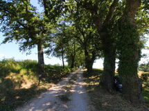Podere Palazzone