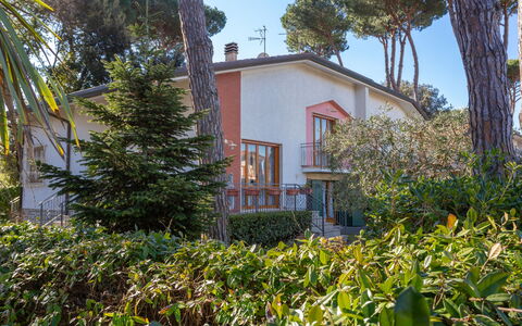 Patrizia: Plante, Himmel, Bygning, Ejendom, Plantesamfund, Vindue, Træ, Hus, Vegetationen, Arecales