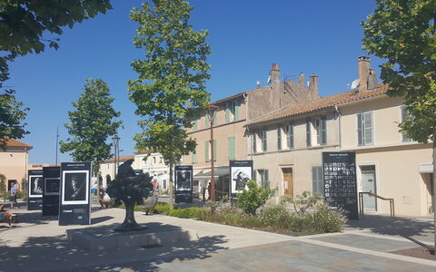 Bella Vista: Himmel, Plante, Bygning, Ejendom, Vindue, Træ, Vejbelægning, Hus, Urban Design, Kvarter