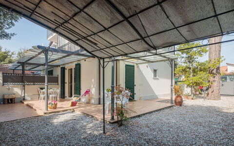Marina Pietrasanta 255: Plante, Bygning, Skygge, Vindue, Facade, Bjælke, Urban Design, Loft, City, Træ