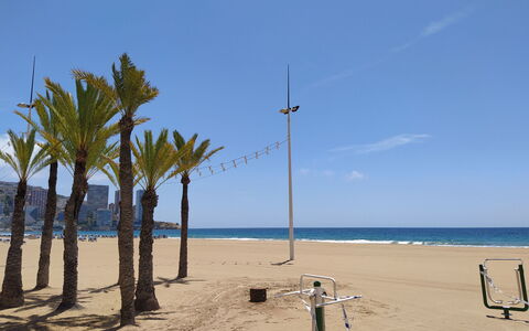 Las Palmeras: Strand, Træ, Himmel, Palme Træ, Hav, Kyst, Arecales, Ferie, Ocean, Sand