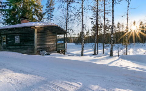 Saarijärvi: Træ, Sommerhus, Bjælkehytte, Skov, Skur, Garden Bygninger, Lærk, Woodland, Bejdse