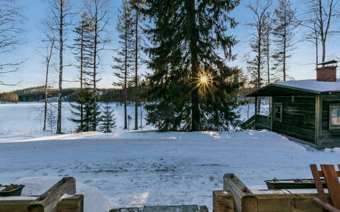 Saarijärvi: Træ, Sommerhus, Bjælkehytte, Skov, Skur, Garden Bygninger, Lærk, Woodland, Bejdse