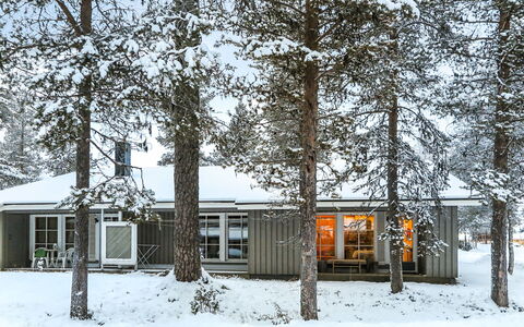 Riekonraito A1: Hjem, Hus, Sommerhus, Vinter, Fryser, Kvist, Sidespor, Sne, Woodland