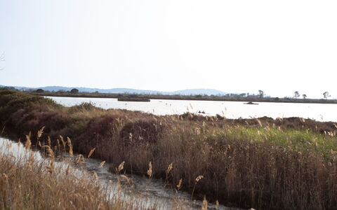 Les Marines du Levant: Vand, Vandressourcer, Krop Af Vand, Naturligt Miljø, Marsk, Naturlige Landskab, Økoregion, Bank, Almindeligt