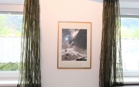 Am Ziller: Plante, Grøn, Træ, Billedramme, Afdeling, Maling, Rektangel, Indretning, Kunst, Træ