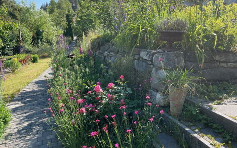 Obegghuus: Himmel, Plante, Bygning, Sky, Vindue, Træ, Hus, Træ, Urban Design, Hældning