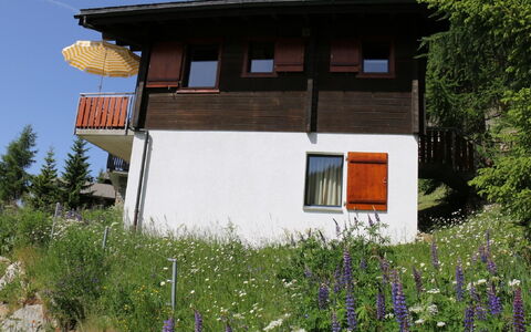 Brunnquell: Blomst, Plante, Ejendom, Vindue, Himmel, Bygning, Hus, Træ, Sommerhus, Græs