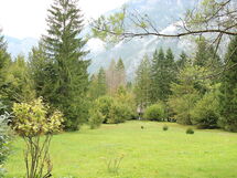 Bohinj 500