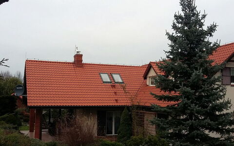 Latków: Plante, Himmel, Bygning, Vindue, Ejendom, Sky, Hus, Arkitektur, Træ, Lærk