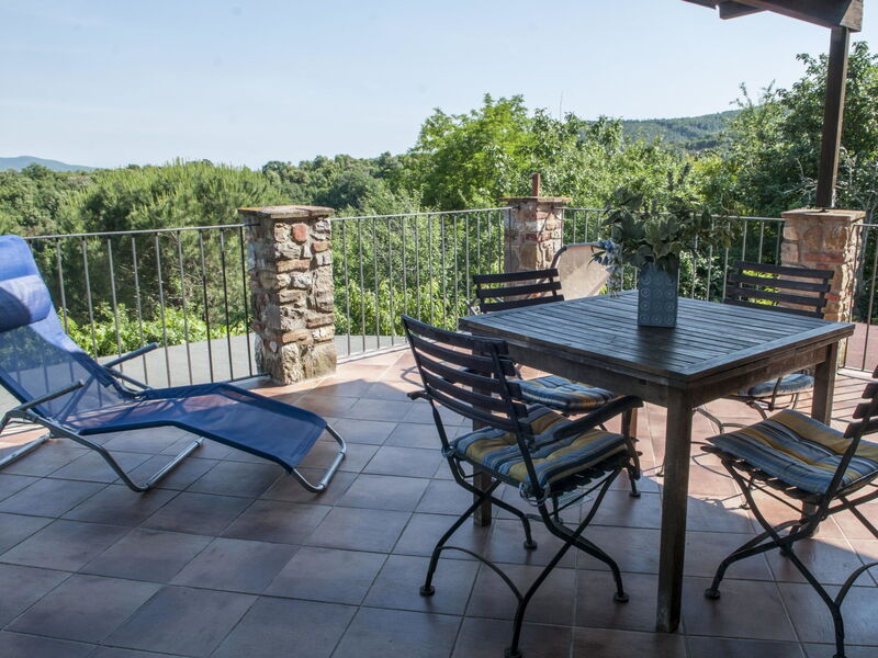 Podere L'orsinghi App. c