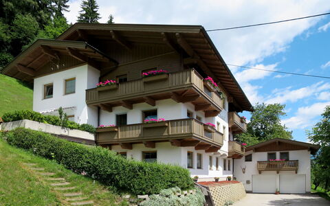 Margit: Plante, Himmel, Sky, Bygning, Vindue, Hus, Træ, Land Lot, Urban Design, Kvarter