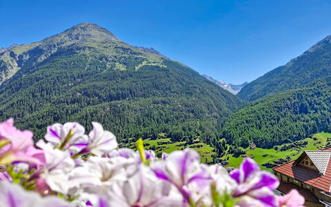 Alpenblick: Bjerg, Bjergrige Landskabsformer, Blomst, Bakke, Bjergkæde, Highland, Hill Station, Landskab, Dal, Kam