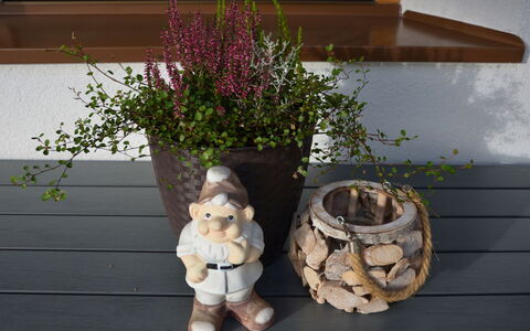 Erna: Blomsterkrukke, Lawn Ornament, Stueplante, Have, Keramisk, Keramik, Urt