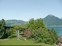 Faulensee (Fae100)