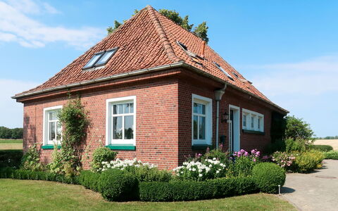 Huuske am Polder: Himmel, Plante, Bygning, Vindue, Sky, Ejendom, Blomst, Hus, Land Lot, Sommerhus
