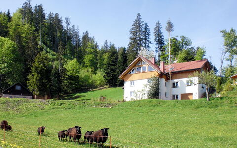 Mühlenmichelshäusle: Pasture, Naturlige Landskab, Græs-, Ejendom, Naturligt Miljø, Eng, Farm, Landdistrikt, Ranch, Hus