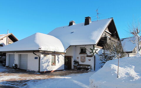 Schleuniger: Himmel, Bygning, Sne, Vindue, Hus, Sommerhus, Plante, Fryser, Sidespor, Landskab