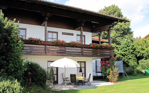 Janik: Plante, Sky, Himmel, Bygning, Vindue, Skygge, Bord, Træ, Land Lot, Sommerhus