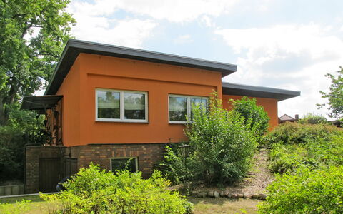 Maria: Plante, Sky, Himmel, Vindue, Plantesamfund, Bygning, Træ, Hus, Land Lot, Naturlige Landskab