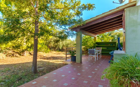 Estrella: Plante, Ejendom, Himmel, Bord, Blad, Skygge, Stol, Udendørs Møbler, Træ, Træ