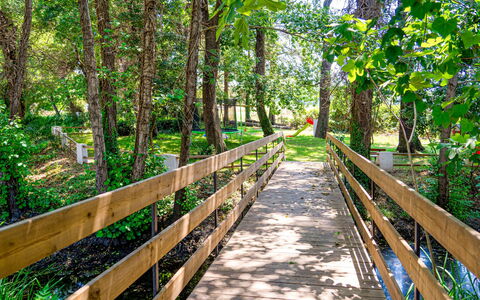 Ghisonaccia 615: Natur, Træ, Grøn, Naturreservat, Vegetationen, Naturligt Miljø, Walkway, Naturlige Landskab, Sti, Skov