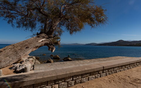 L'Ile Rousse 604: Himmel, Vand, Træ, Træ, Plante, Coastal Og Oceaniske Landskabsformer, Bagagerum, Bank, Vedplante, Horisont