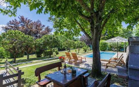 Tomazin: Busk, Have, Skygge, Landscaping, Lawn, Gård, Backyard, Estate, Eco Hotel, Udendørs Møbler