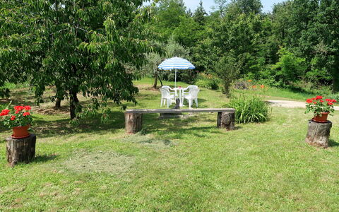 Fortica: Have, Græs, Ejendom, Gård, Lawn, Land Lot, Backyard, Botanik, Træ, Hus