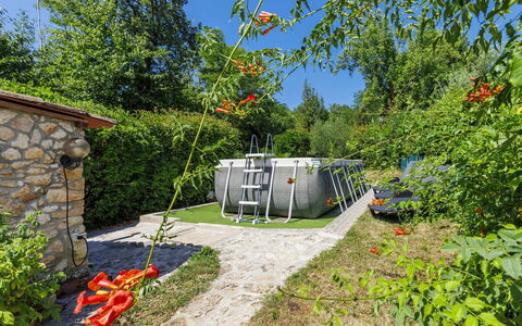 Paolici: Have, Backyard, Landscaping, Parkere, Garden Bygninger