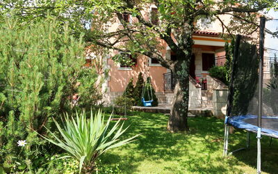 Ornela (Lbn321)