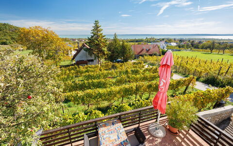 Dul: Forår, Have, Skygge, Eco Hotel, Plantation, Botanisk Have
